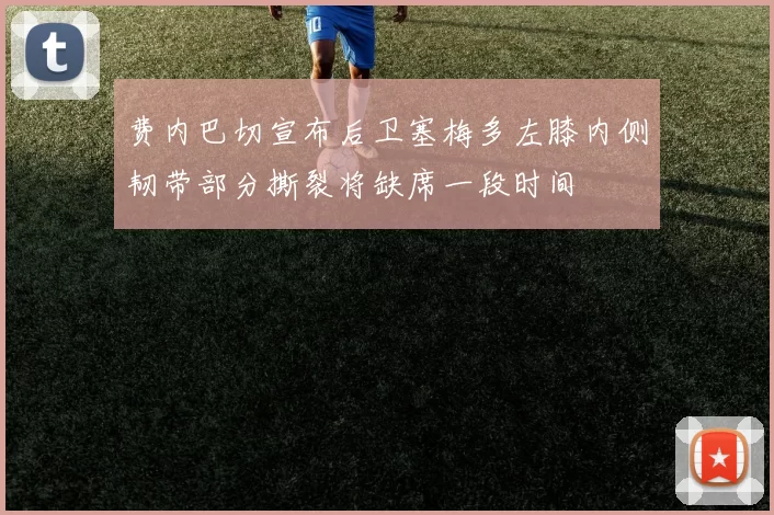 费内巴切宣布后卫塞梅多左膝内侧韧带部分撕裂将缺席一段时间